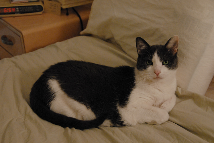 lintyfullbedsm